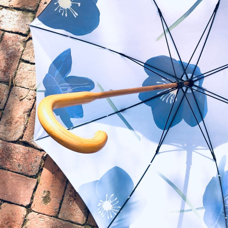 Umbrella:  Black Hellebore on Snow